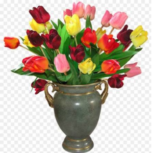 Beautiful Tulip Flower Vase
